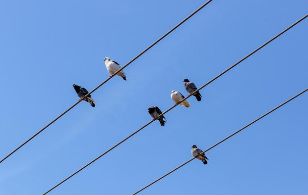 1744190965806.jpg